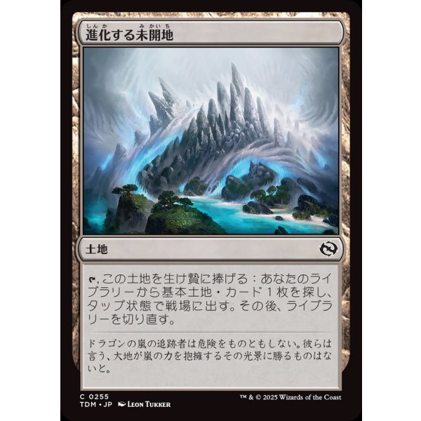 画像1: 進化する未開地/Evolving Wilds (1)