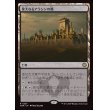 画像1: 偉大なるアラシンの都/Great Arashin City (1)