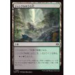 画像1: ジャングルのうろ穴/Jungle Hollow (1)