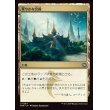 画像1: 華やかな宮殿/Opulent Palace (1)