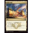 画像1: 砂草原の城塞/Sandsteppe Citadel (1)