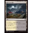 画像1: 磨かれたやせ地/Scoured Barrens (1)
