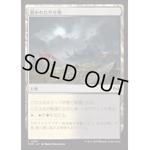 画像: 磨かれたやせ地/Scoured Barrens