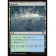 画像1: 茨森の滝/Thornwood Falls (1)