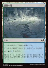 画像: 茨森の滝/Thornwood Falls