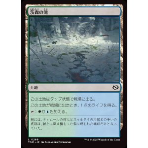 画像: 茨森の滝/Thornwood Falls