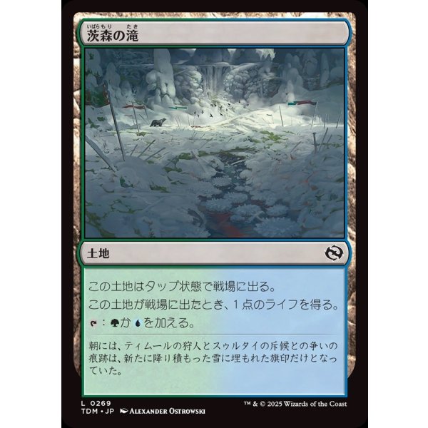 画像1: 茨森の滝/Thornwood Falls (1)