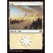画像1: 平地/Plains (1)