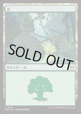 画像: 森/Forest