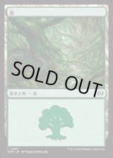 画像: 森/Forest