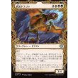 画像1: 武装ドラゴン/Armament Dragon (1)