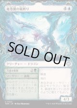 画像: 竜巻翼の嵐孵り/Whirlwing Stormbrood