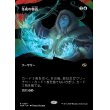 画像1: 冬夜の物語/Winternight Stories (1)