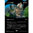 画像1: シブシグの儀式/The Sibsig Ceremony (1)