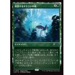 画像1: 侵食するドラゴンの嵐/Encroaching Dragonstorm (1)