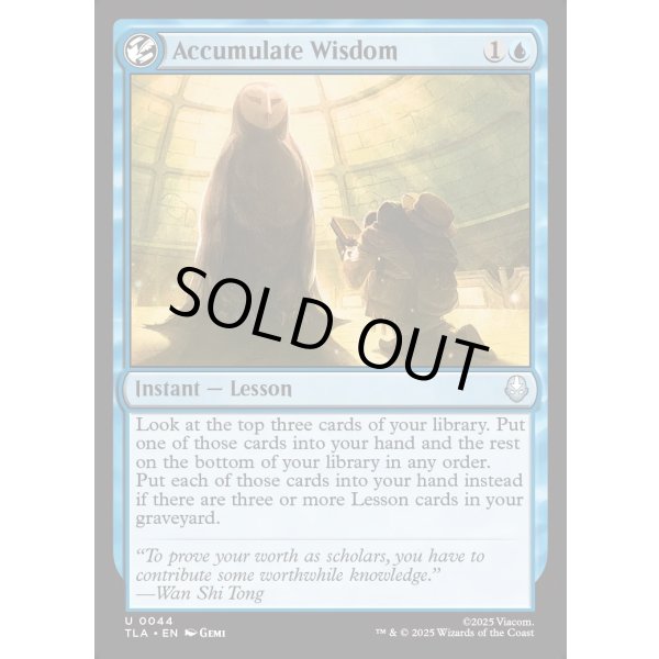 画像2: 積み重ねられた叡智/Accumulate Wisdom (2)