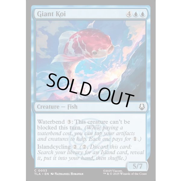 画像2: 巨大鯉/Giant Koi (2)