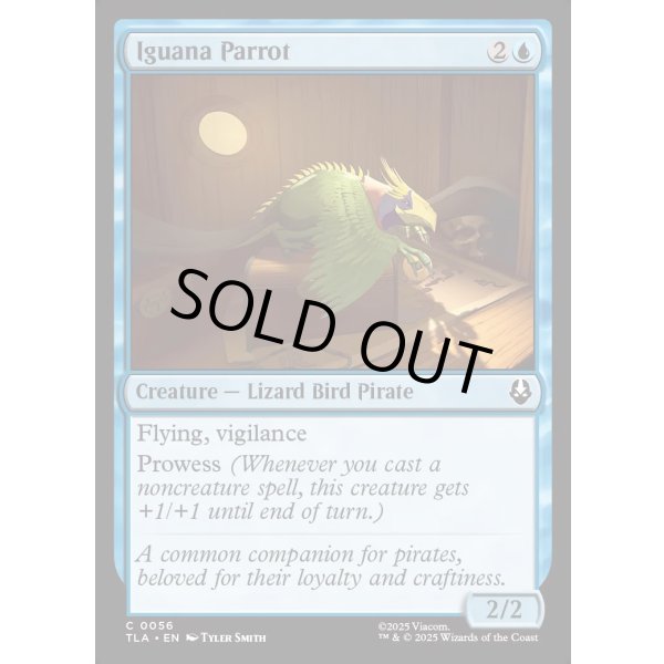 画像2: イグアナオウム/Iguana Parrot (2)