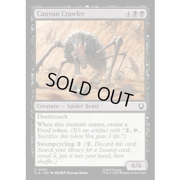 画像2: ケイコクオオグモ/Canyon Crawler (2)