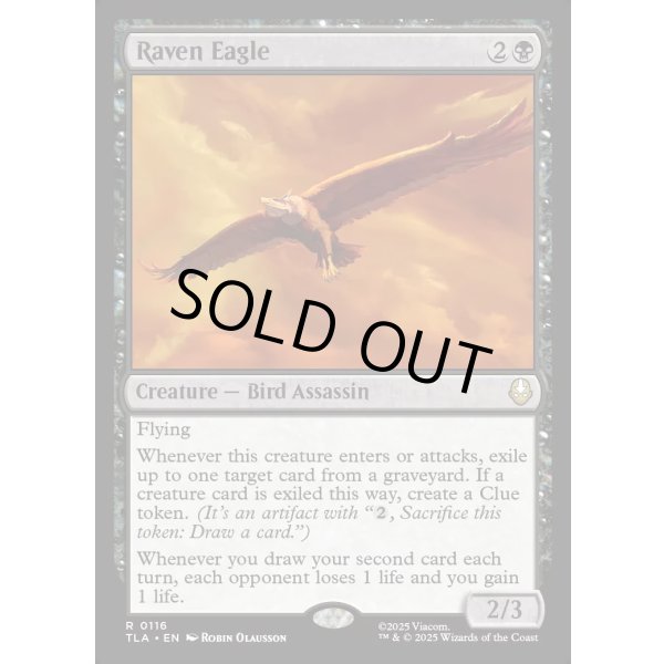 画像2: カラスワシ/Raven Eagle (2)