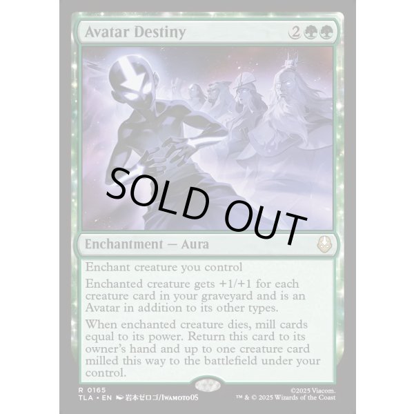 画像2: アバターの宿命/Avatar Destiny (2)