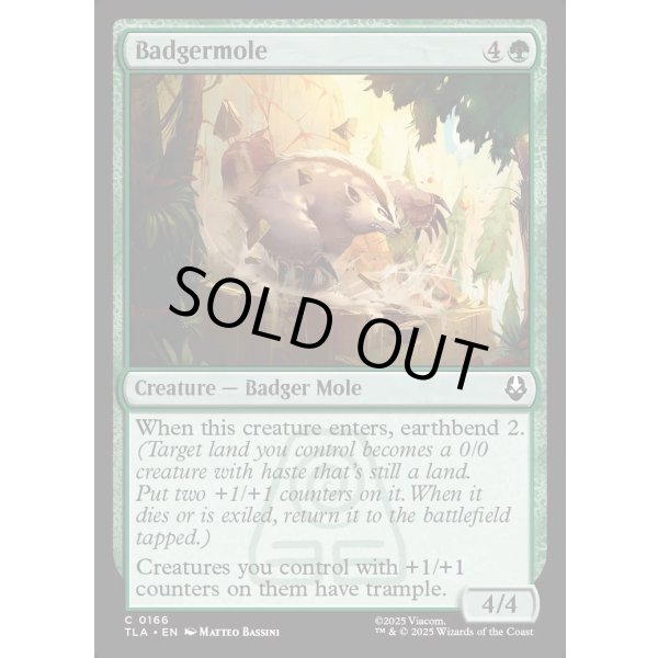 画像2: アナグマモグラ/Badgermole (2)