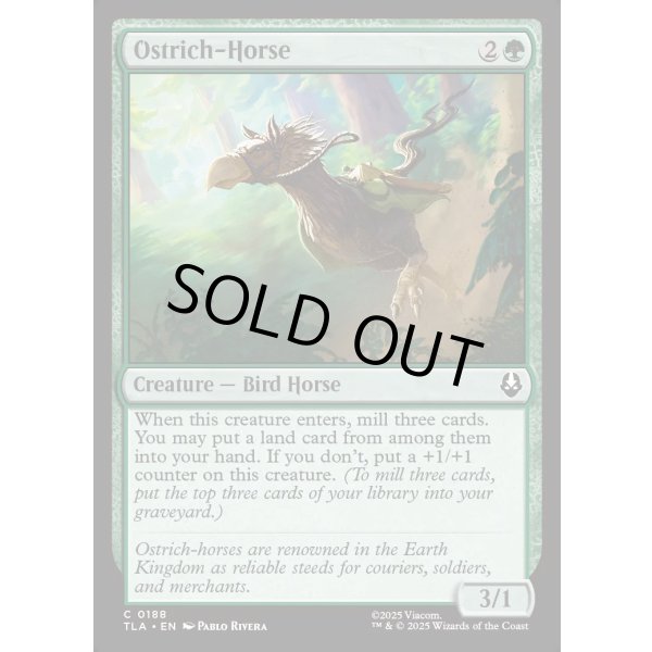 画像2: ダチョウウマ/Ostrich-Horse (2)