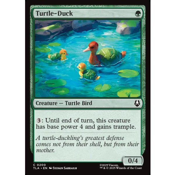 画像2: カメアヒル/Turtle-Duck (2)