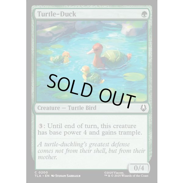 画像2: カメアヒル/Turtle-Duck (2)