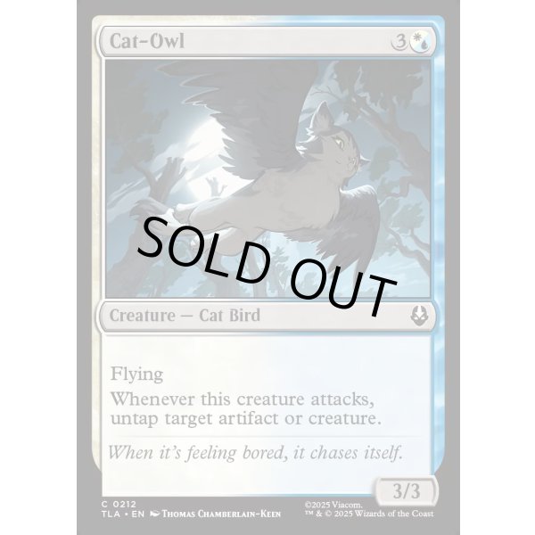 画像2: ネコフクロウ/Cat-Owl (2)