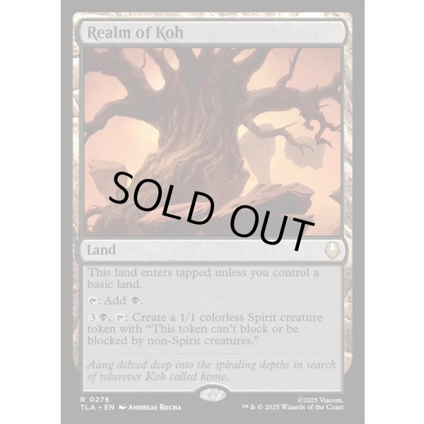 画像2: コーの領域/Realm of Koh (2)