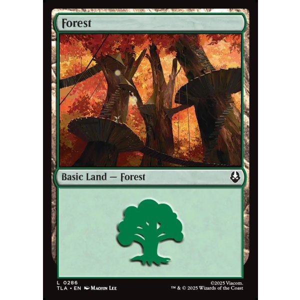 画像2: 森/Forest (2)