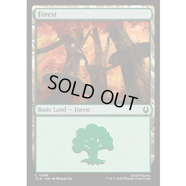 画像2: 森/Forest (2)