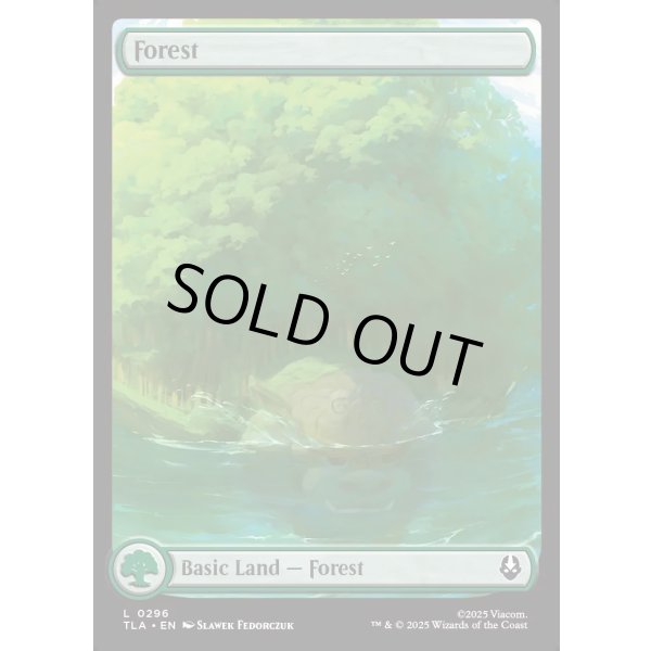 画像2: 森/Forest (2)