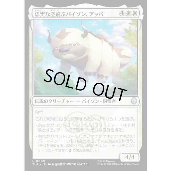 画像1: 忠実な空飛ぶバイソン、アッパ/Appa, Loyal Sky Bison (1)