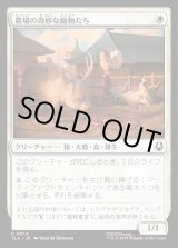 画像: 農場の奇妙な動物たち/Curious Farm Animals