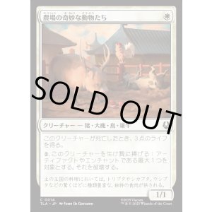 画像: 農場の奇妙な動物たち/Curious Farm Animals