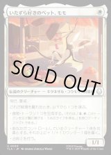 画像: いたずら好きのペット、モモ/Momo, Playful Pet