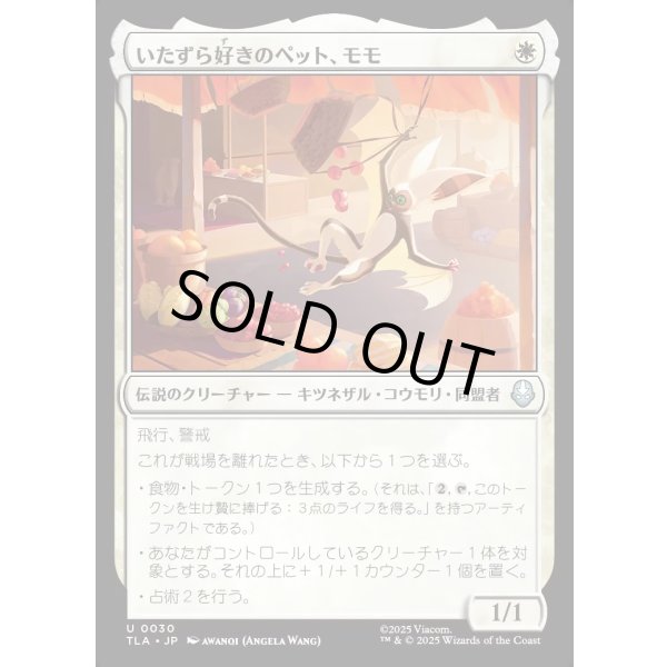 画像1: いたずら好きのペット、モモ/Momo, Playful Pet (1)