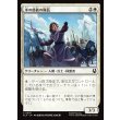 画像1: 水の部族の隊長/Water Tribe Captain (1)