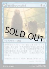 画像: 積み重ねられた叡智/Accumulate Wisdom