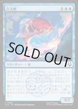 画像: 巨大鯉/Giant Koi