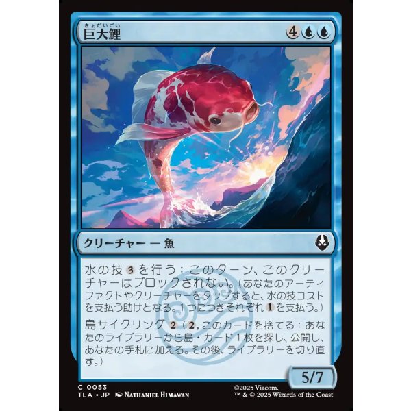 画像1: 巨大鯉/Giant Koi (1)