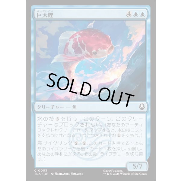 画像1: 巨大鯉/Giant Koi (1)