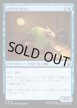 画像: イグアナオウム/Iguana Parrot