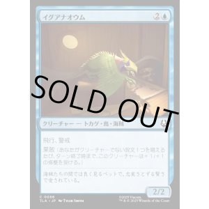 画像: イグアナオウム/Iguana Parrot