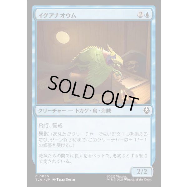 画像1: イグアナオウム/Iguana Parrot (1)