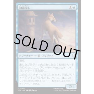 画像: 知識探し/Knowledge Seeker