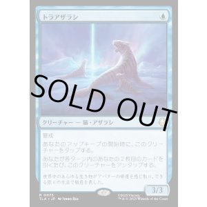 画像: トラアザラシ/Tiger-Seal