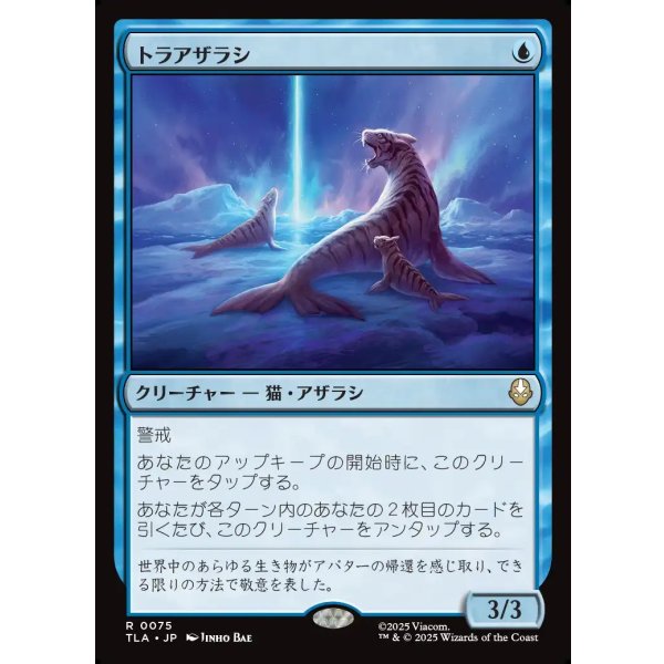 画像1: トラアザラシ/Tiger-Seal (1)